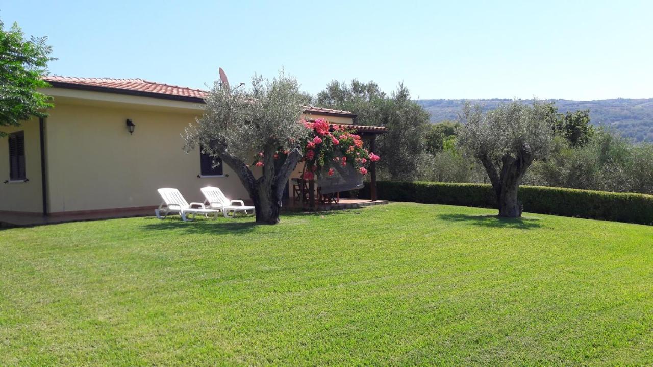 Villa Mimosa Tropea Ricadi Exteriér fotografie