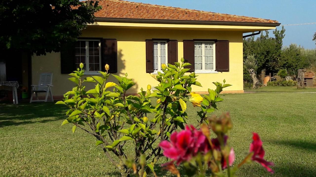 Villa Mimosa Tropea Ricadi Exteriér fotografie