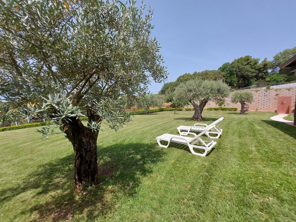 Villa Mimosa Tropea Ricadi Exteriér fotografie