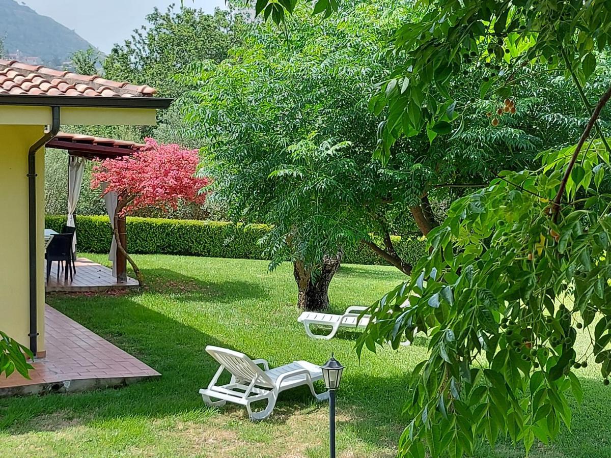 Villa Mimosa Tropea Ricadi Exteriér fotografie