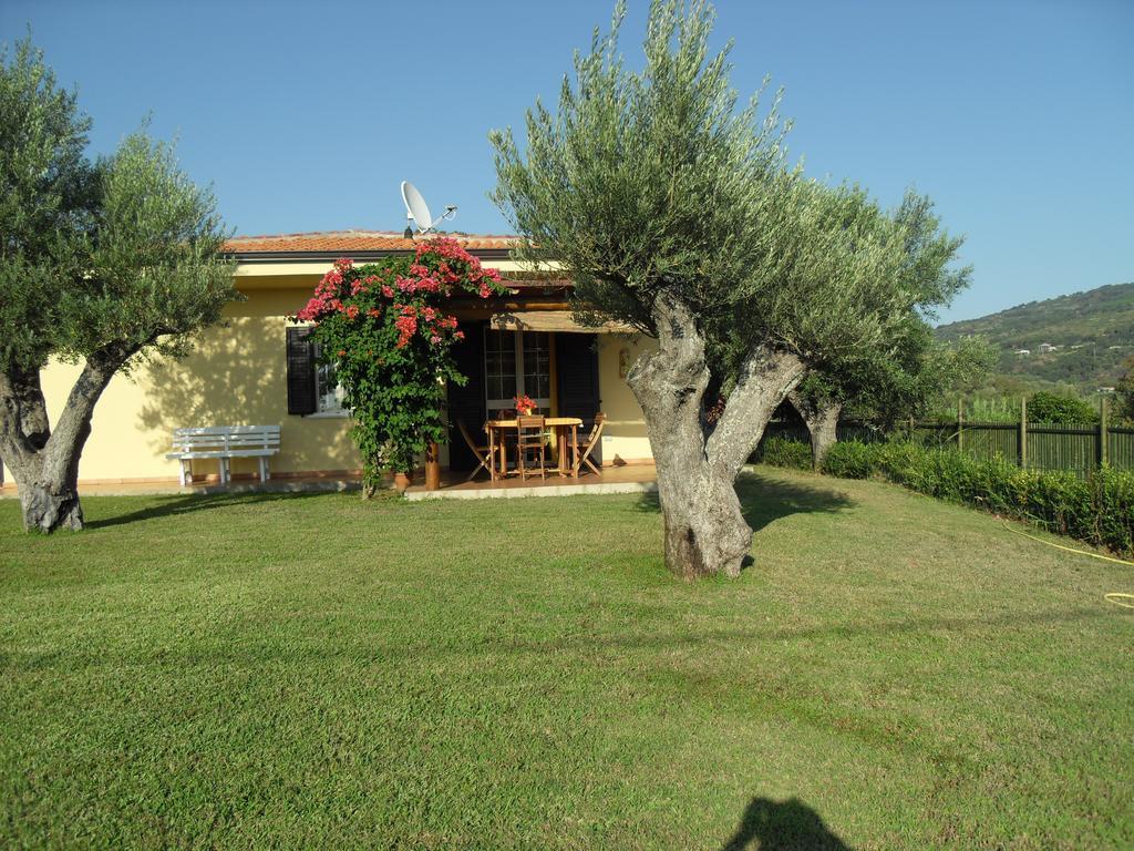Villa Mimosa Tropea Ricadi Exteriér fotografie